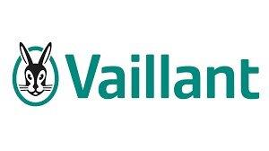 Vaillant log